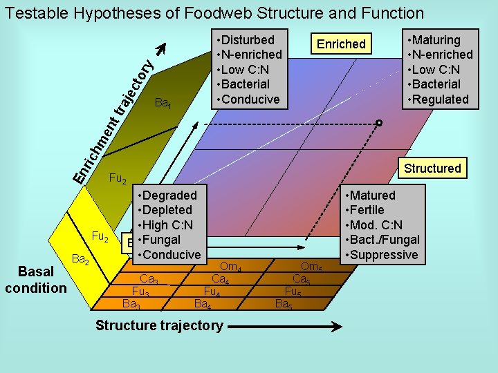 Testable Hypotheses of Foodweb Structure and Function Ba 1 Enriched • Maturing • N-enriched