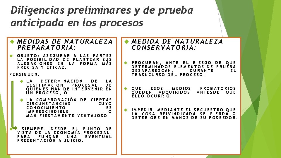 Diligencias preliminares y de prueba anticipada en los procesos MEDIDAS DE NATURALEZA PREPARATORIA: OBJETO: