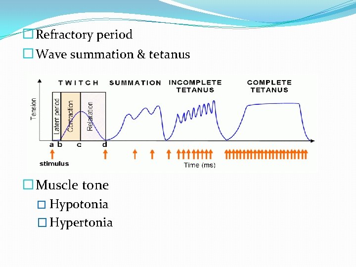 � Refractory period � Wave summation & tetanus � Muscle tone � Hypotonia �