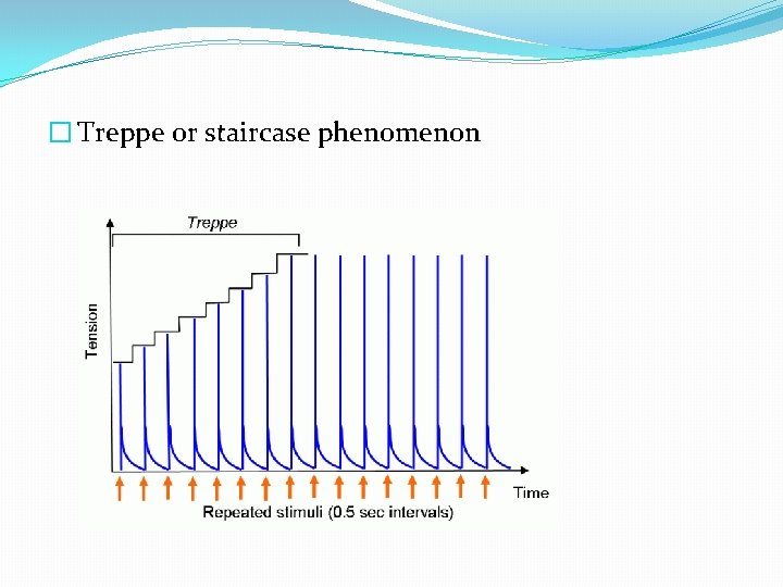 � Treppe or staircase phenomenon 