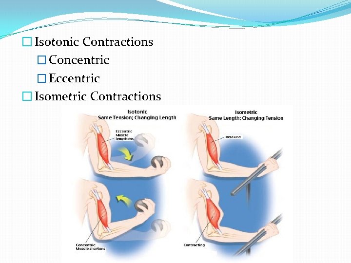 � Isotonic Contractions � Concentric � Eccentric � Isometric Contractions 