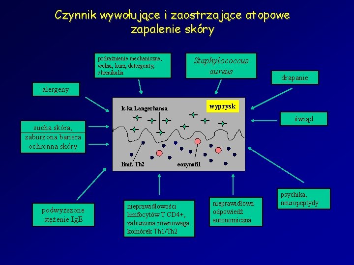 Czynnik wywołujące i zaostrzające atopowe zapalenie skóry podrażnienie mechaniczne, wełna, kurz, detergenty, chemikalia Staphylococcus