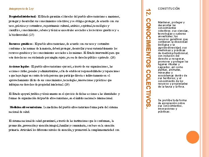 Propiedad intelectual. - El Estado garantiza el derecho del pueblo afroecuatoriano a mantener, proteger