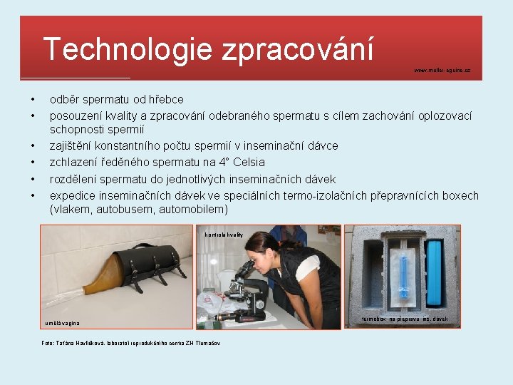  Technologie zpracování www. muller-eguine. cz • • • odběr spermatu od hřebce posouzení