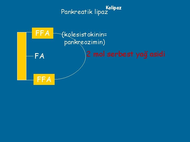 Kolipaz Pankreatik lipaz FA FFA FA (kolesistokinin= pankreozimin) 2 mol serbest yağ asidi 