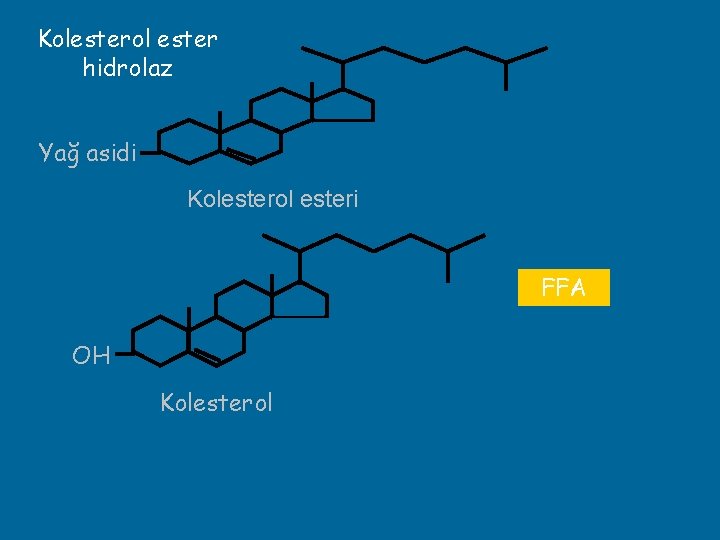 Kolesterol ester hidrolaz Yağ asidi Kolesterol esteri FFA OH Kolesterol 