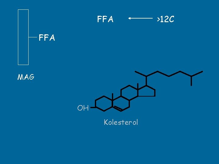 FFA MAG OH Kolesterol >12 C 