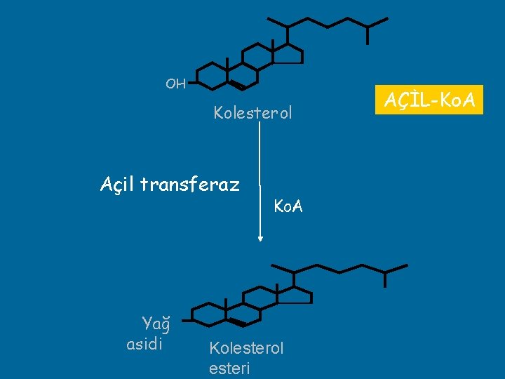 OH Kolesterol Açil transferaz Yağ asidi Ko. A Kolesterol esteri AÇİL-Ko. A 