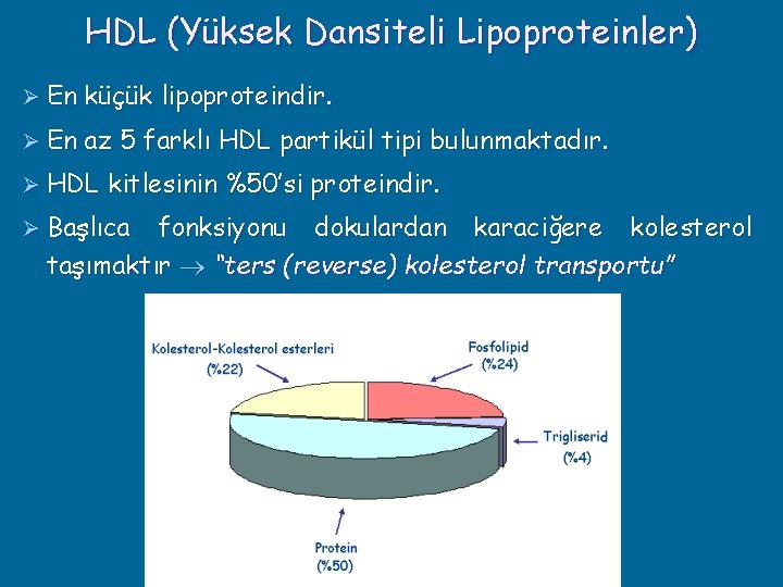 HDL (Yüksek Dansiteli Lipoproteinler) Ø En küçük lipoproteindir. Ø En az 5 farklı HDL