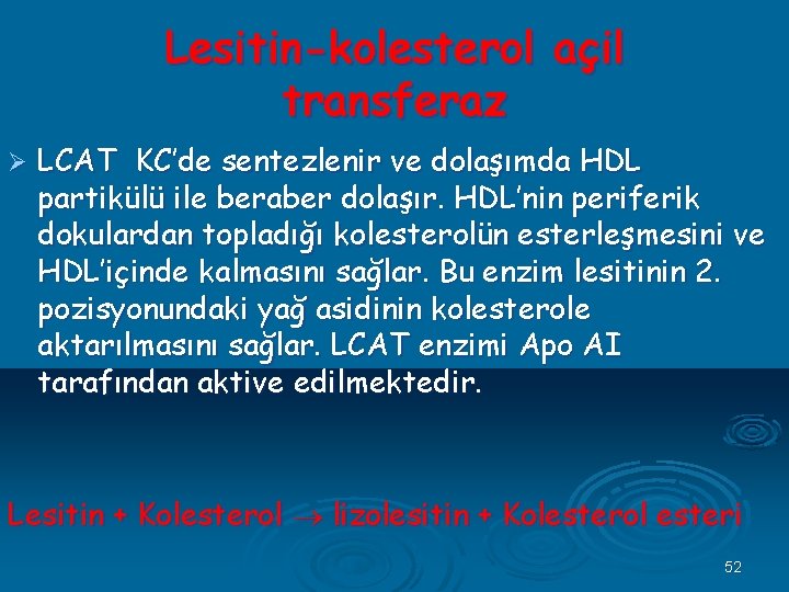 Lesitin-kolesterol açil transferaz Ø LCAT KC’de sentezlenir ve dolaşımda HDL partikülü ile beraber dolaşır.