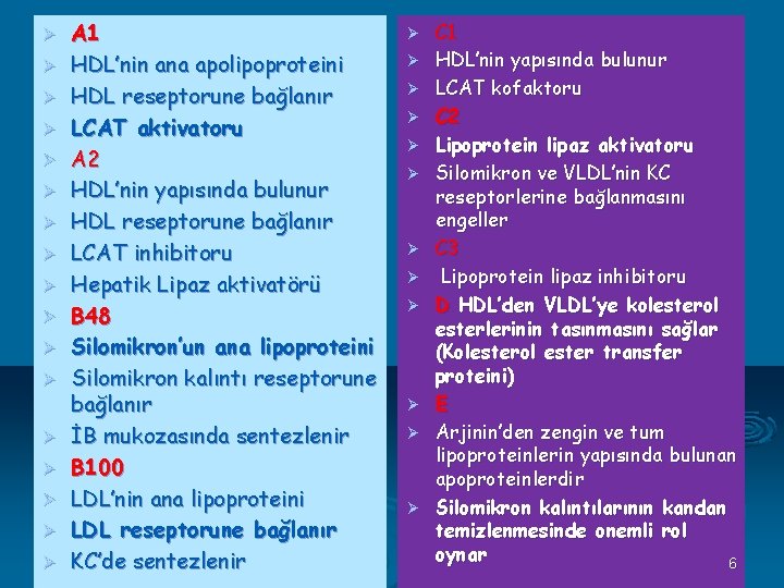 Ø Ø Ø Ø Ø A 1 HDL’nin ana apolipoproteini HDL reseptorune bağlanır LCAT