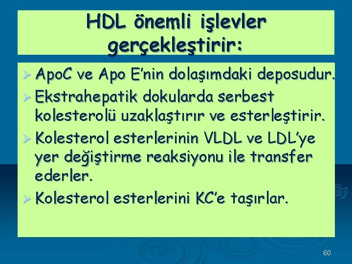 HDL önemli işlevler gerçekleştirir: Ø Apo. C ve Apo E’nin dolaşımdaki deposudur. Ø Ekstrahepatik