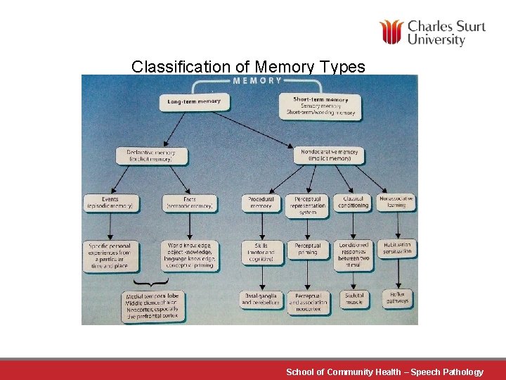 Classification of Memory Types School of Community Health – Speech Pathology 