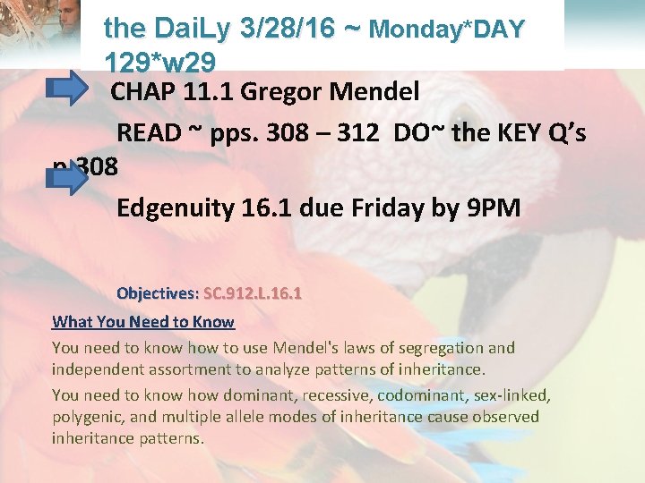  Lesson Overview What is Ecology? the Dai. Ly 3/28/16 ~ Monday*DAY 129*w 29