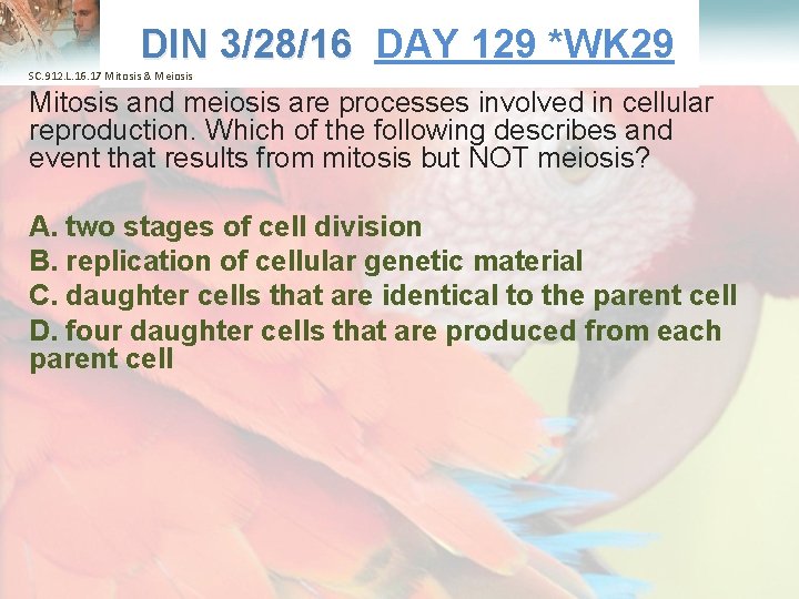  Lesson Overview What is Ecology? DIN 3/28/16 DAY 129 *WK 29 3/28/16 SC.