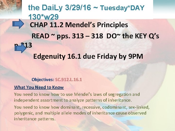  Lesson Overview What is Ecology? the Dai. Ly 3/29/16 ~ Tuesday*DAY 130*w 29