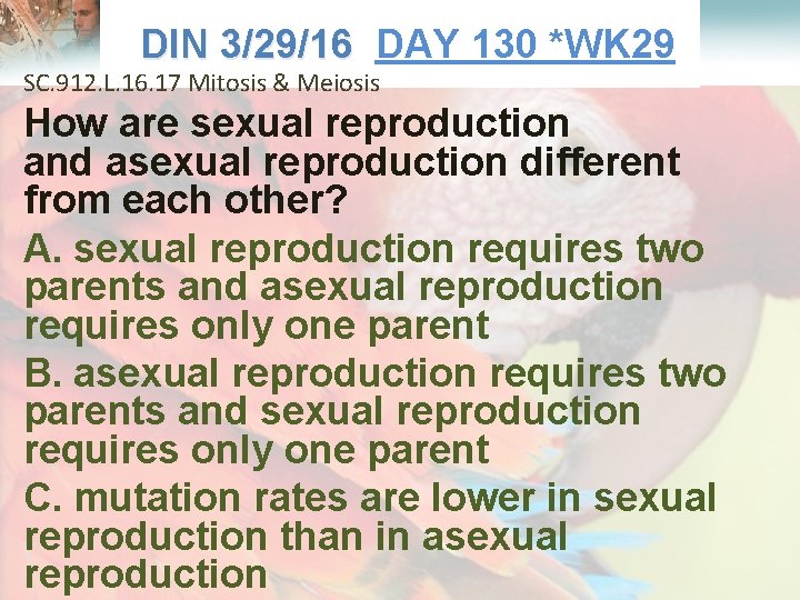  Lesson Overview What is Ecology? DIN 3/29/16 DAY 130 *WK 29 3/29/16 SC.