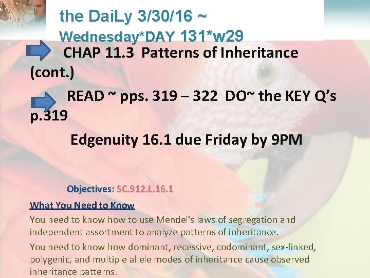  Lesson Overview What is Ecology? the Dai. Ly 3/30/16 ~ Wednesday*DAY 131*w 29