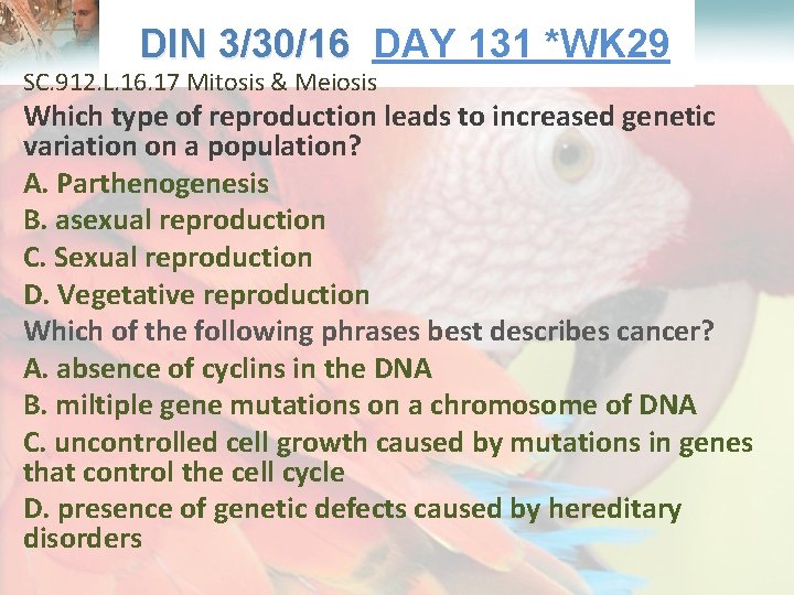  Lesson Overview What is Ecology? DIN 3/30/16 DAY 131 *WK 29 3/30/16 SC.