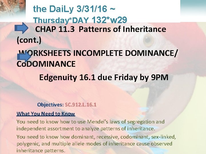  Lesson Overview What is Ecology? the Dai. Ly 3/31/16 ~ Thursday*DAY 132*w 29