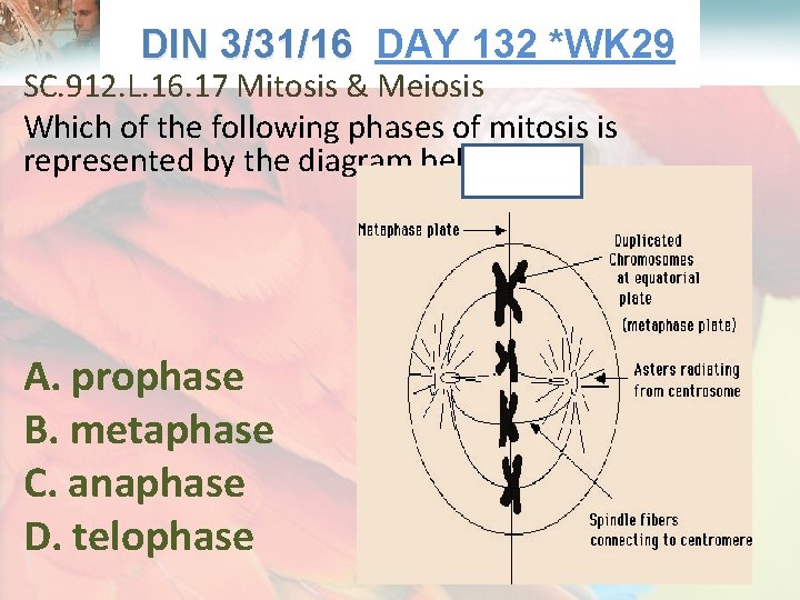  Lesson Overview What is Ecology? DIN 3/31/16 DAY 132 *WK 29 3/31/16 SC.