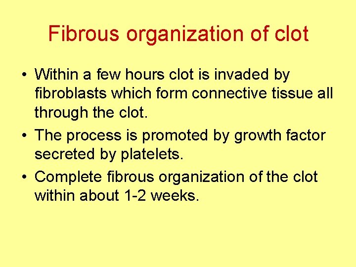 Fibrous organization of clot • Within a few hours clot is invaded by fibroblasts