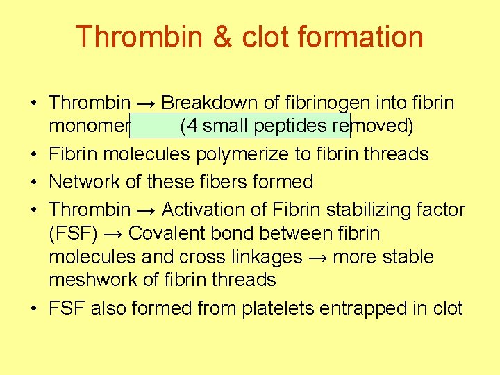 Thrombin & clot formation • Thrombin → Breakdown of fibrinogen into fibrin monomer (4