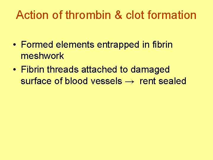 Action of thrombin & clot formation • Formed elements entrapped in fibrin meshwork •