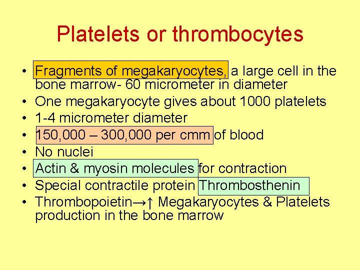 Platelets or thrombocytes • Fragments of megakaryocytes, a large cell in the bone marrow-