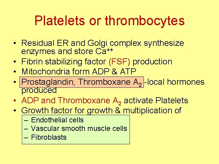 Platelets or thrombocytes • Residual ER and Golgi complex synthesize enzymes and store Ca++