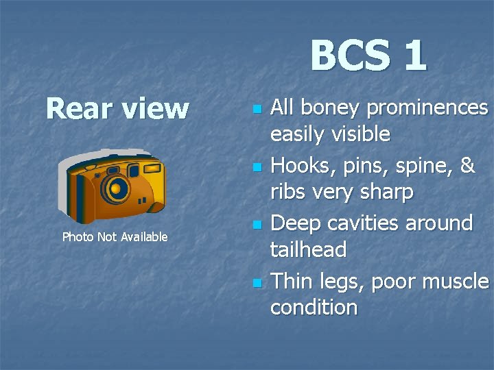 BCS 1 Rear view n n Photo Not Available n n All boney prominences