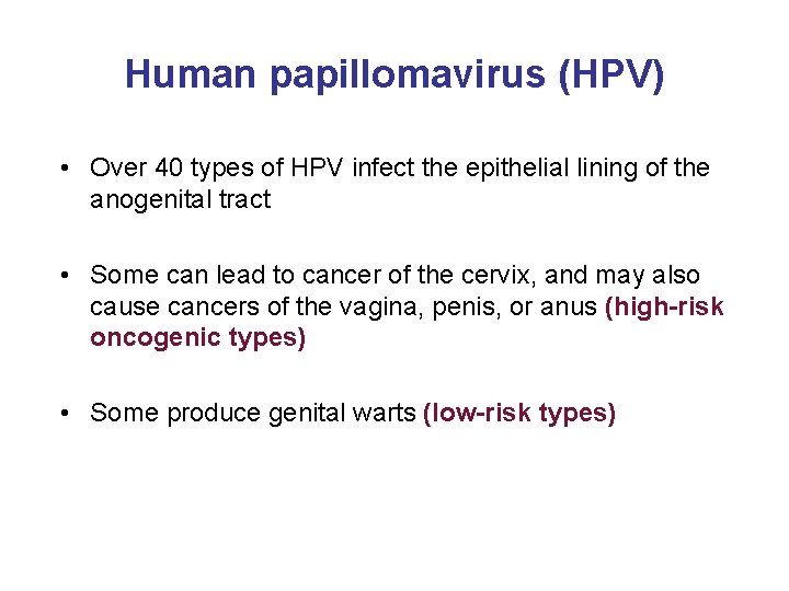 Human papillomavirus (HPV) • Over 40 types of HPV infect the epithelial lining of