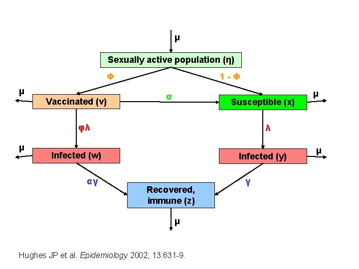 μ Sexually active population (η) Φ μ Vaccinated (v) 1 -Φ σ Susceptible (x)