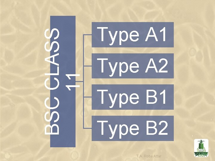 BSC CLASS 11 Type A 2 Type B 1 Type B 2 T. A.