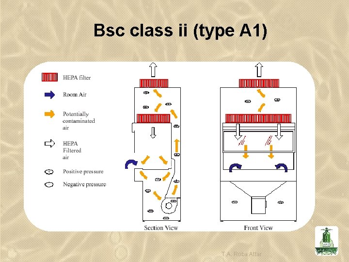 Bsc class ii (type A 1) T. A. Roba Attar 