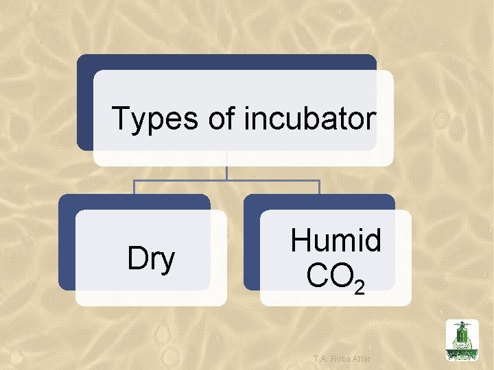 Types of incubator Dry Humid CO 2 T. A. Roba Attar 