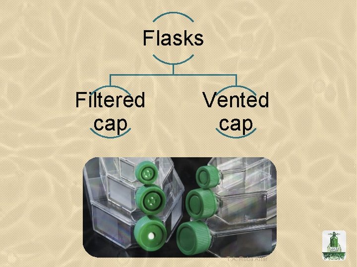 Flasks Filtered cap Vented cap T. A. Roba Attar 