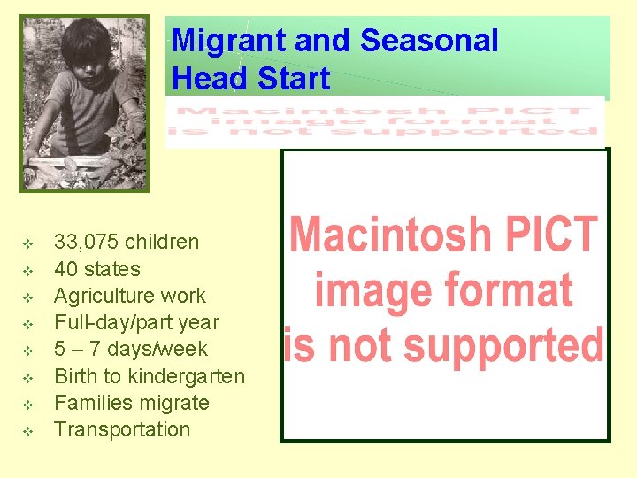 Migrant and Seasonal Head Start v v v v 33, 075 children 40 states