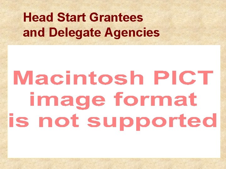 Head Start Grantees and Delegate Agencies 