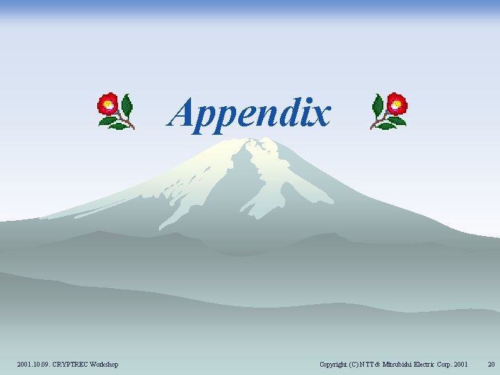 Appendix 2001. 10. 09. CRYPTREC Workshop Copyright (C) NTT & Mitsubishi Electric Corp. 2001 Appendix 2001. 10. 09. CRYPTREC Workshop Copyright (C) NTT & Mitsubishi Electric Corp. 2001