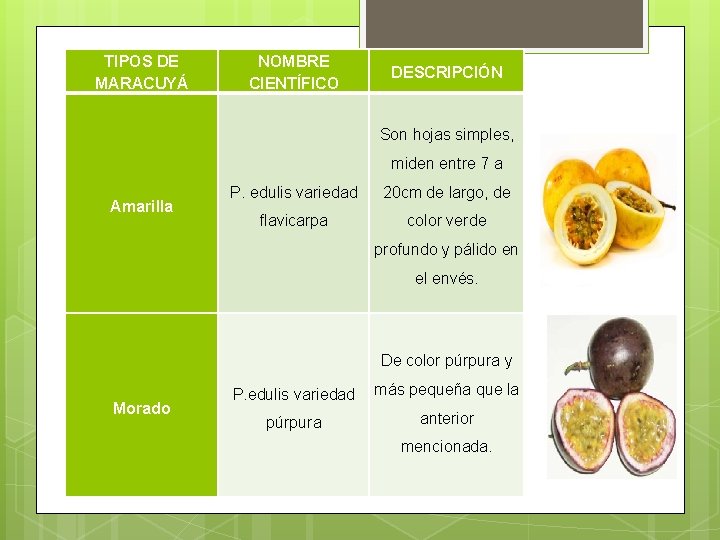 TIPOS DE MARACUYÁ NOMBRE CIENTÍFICO DESCRIPCIÓN Son hojas simples, miden entre 7 a Amarilla
