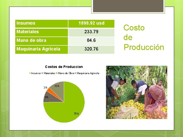 Insumos 1898. 92 usd Materiales 233. 79 Mano de obra 84. 6 Maquinaria Agrícola