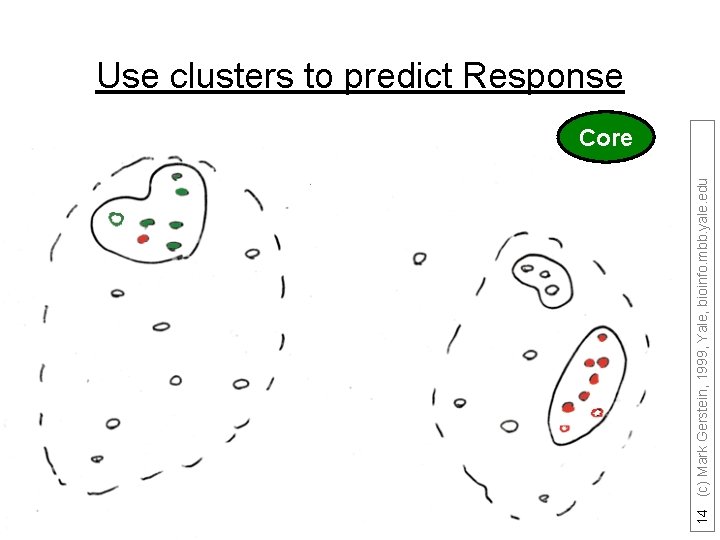 14 (c) Mark Gerstein, 1999, Yale, bioinfo. mbb. yale. edu Use clusters to predict