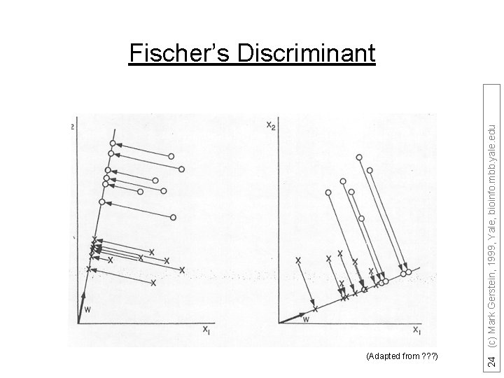 (Adapted from ? ? ? ) 24 (c) Mark Gerstein, 1999, Yale, bioinfo. mbb.