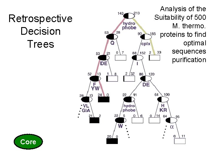 Core 27 (c) Mark Gerstein, 1999, Yale, bioinfo. mbb. yale. edu Retrospective Decision Trees