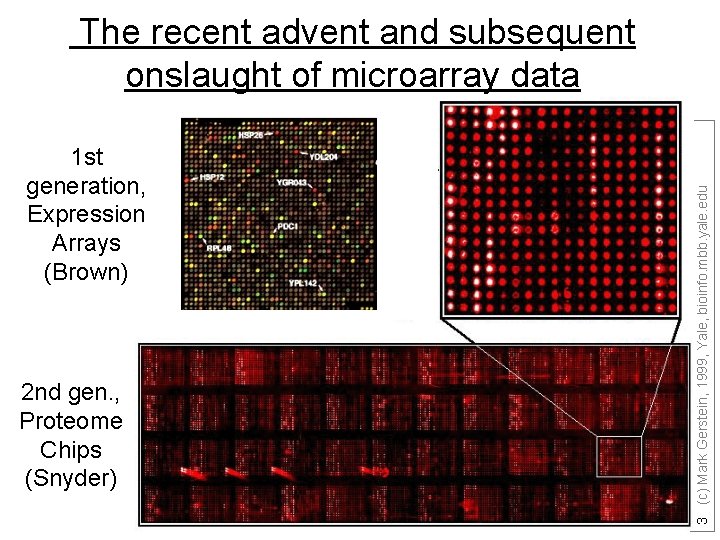 1 st generation, Expression Arrays (Brown) 2 nd gen. , Proteome Chips (Snyder) 3