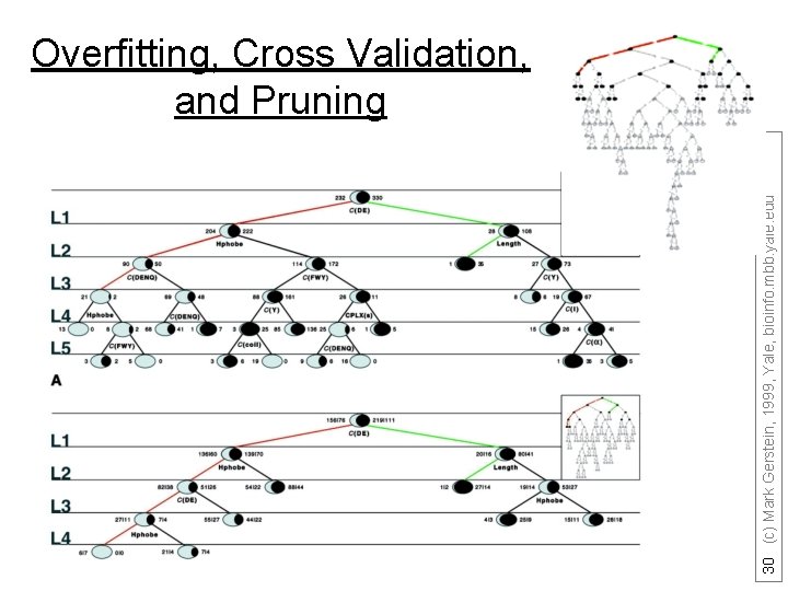 30 (c) Mark Gerstein, 1999, Yale, bioinfo. mbb. yale. edu Overfitting, Cross Validation, and