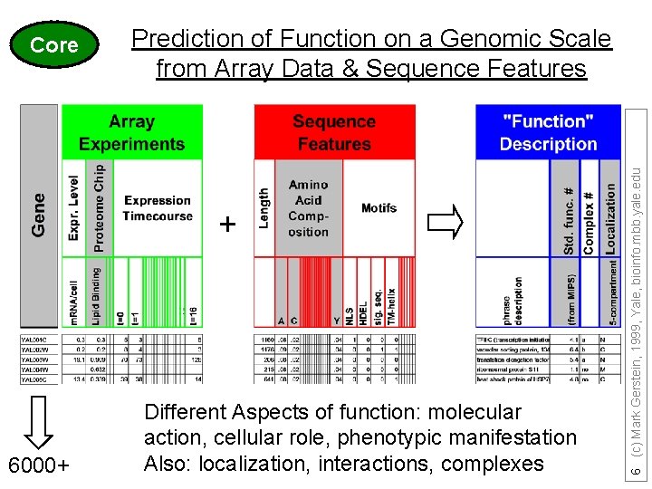 Prediction of Function on a Genomic Scale from Array Data & Sequence Features +