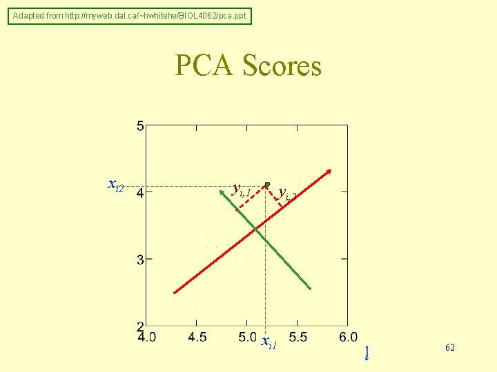 Adapted from http: //myweb. dal. ca/~hwhitehe/BIOL 4062/pca. ppt PCA Scores xi 2 yi, 1
