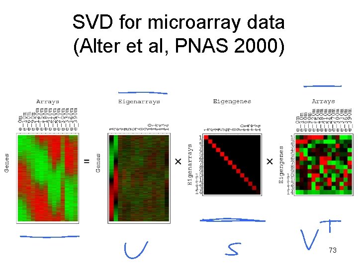 SVD for microarray data (Alter et al, PNAS 2000) 73 